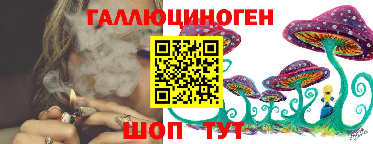 Азнакаево  Псилоцибиновые грибы Psilocybe  Галлюциногенные грибы мицелий  Вход с VPN 